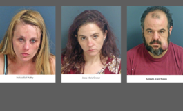 Fluvanna deputies and state police serve warrant on Ruritan Lake Road