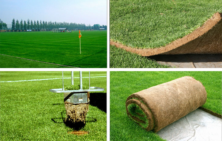 1668131178324889.jpg 未标题-4.jpg