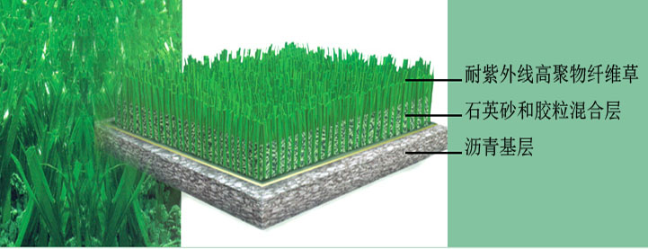 1668134322127455.jpg 未标题-8.jpg