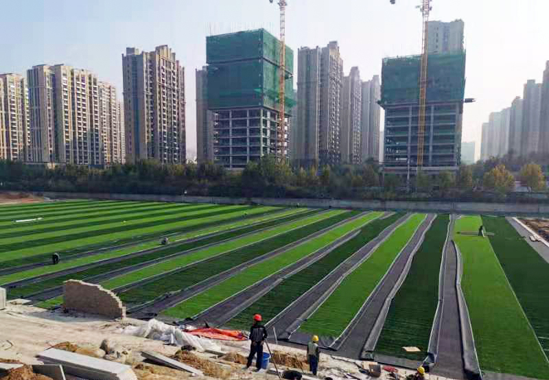 1668134416774573.jpg 3.jpg