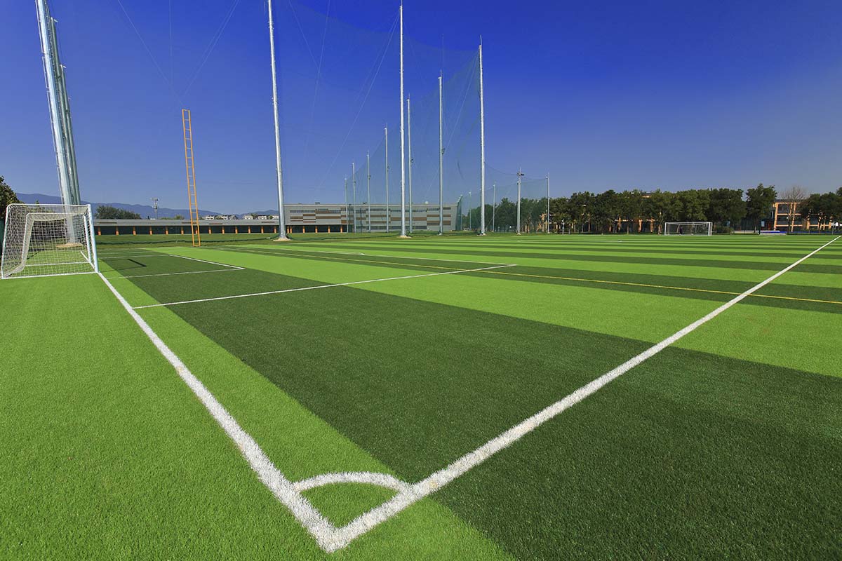 1668134471984093.jpg IMG_0251.JPG