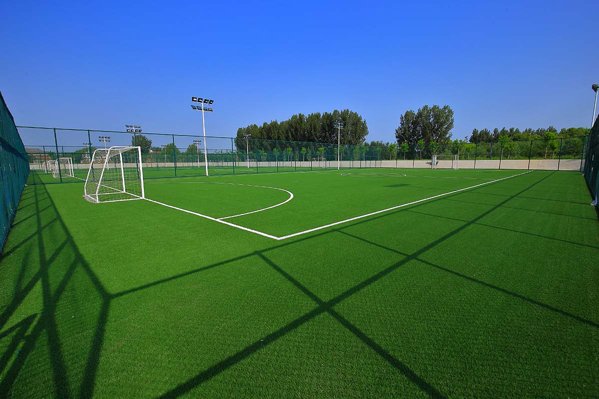 1668134546355528.jpg IMG_1336.JPG