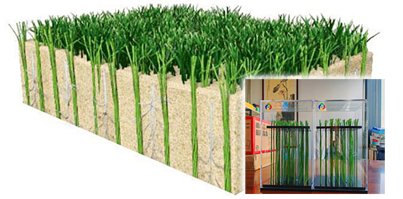 1721368827293681.jpg 锚固草坪系统示意图.jpg